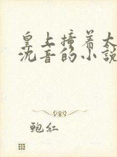 皇上撞着太子妃沈音的小说叫什么