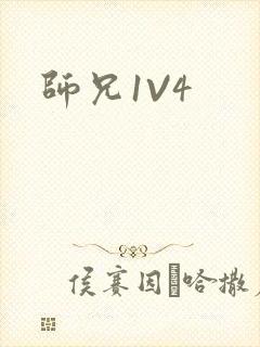 师兄1V4