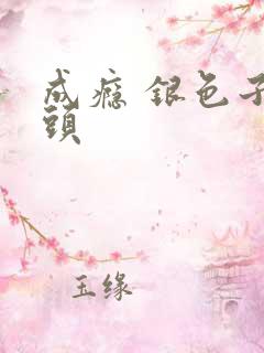 成瘾 银色子弹头