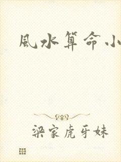 风水算命小说