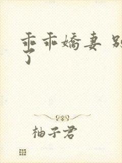 乖乖娇妻 别闹了