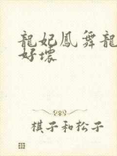 龙妃凤舞龙王你好坏