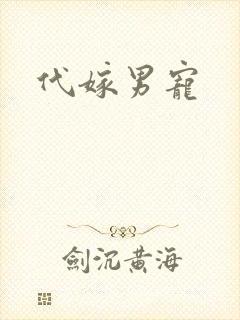 代嫁男宠
