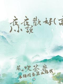 夜夜欢好(高h)小说