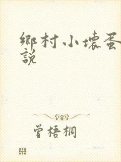 乡村小坏蛋 小说