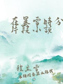 在暴雪时分高能片段小说