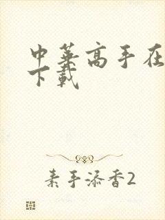 中华高手在异世下载