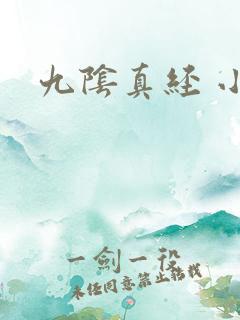 九阴真经 小说