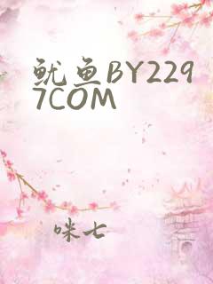 鱿鱼BY2297COM