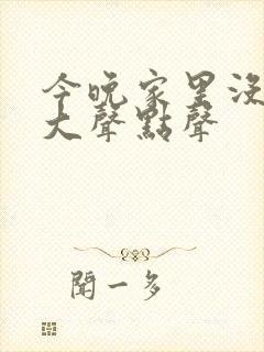 今晚家里没人叫大声点声