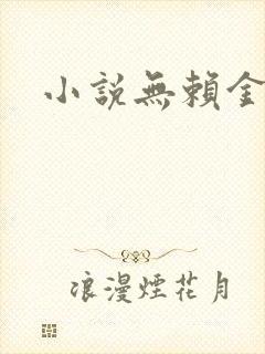 小说无赖金仙