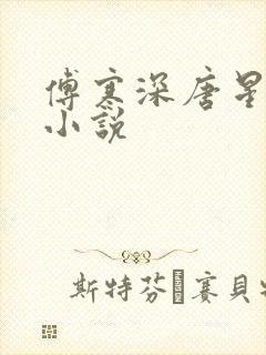 傅寒深唐星挽的小说