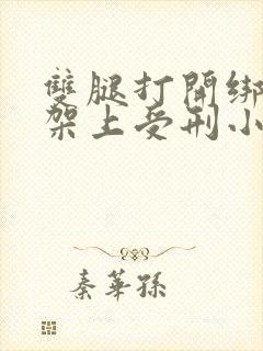 双腿打开绑在刑架上受刑小说