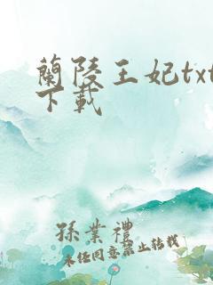 兰陵王妃txt下载