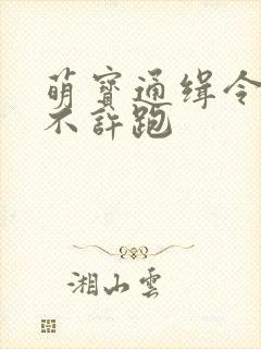 萌宝通缉令妈味不许跑