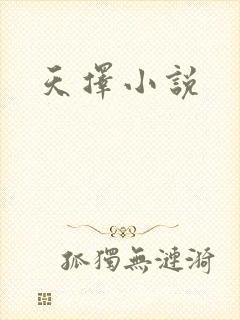 天择小说