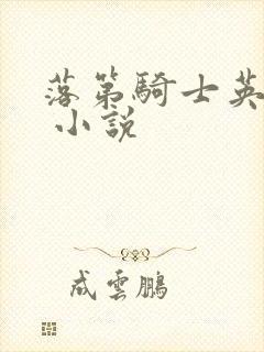 落第骑士英雄谭 小说