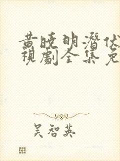 黄晓明潜伏者电视剧全集免费观看