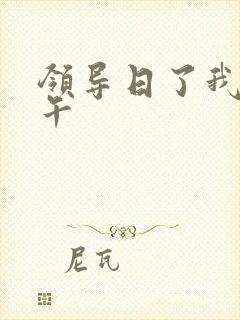 领导日了我一下午