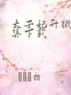 太子妃升职记全集下载