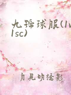 九号球服(1v1sc)