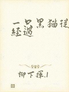 一只黑猫从眼前经过