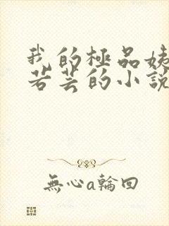 我的极品姨妈柳若芸的小说在线