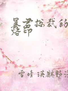 暴君总裁的狂烈烙印