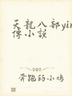 天龙八部yin传小说