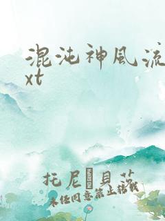 混沌神风流史txt