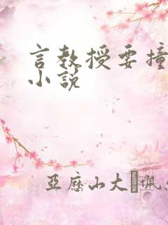 言教授要撞坏了小说