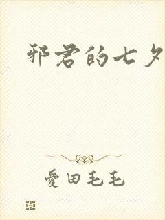 邪君的七夕皇妃