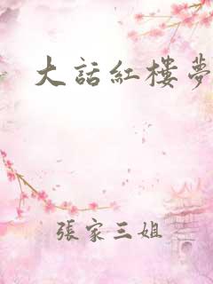 大话红楼梦
