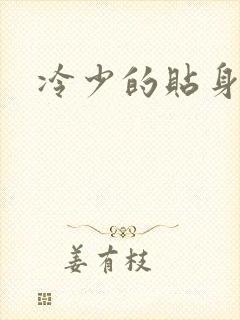 冷少的贴身女人