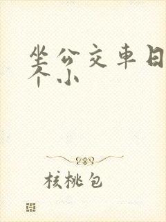 坐公交车日了两个小