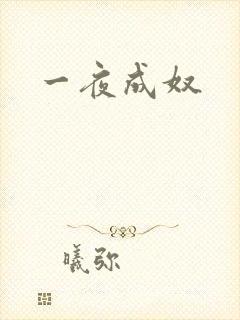 一夜成奴