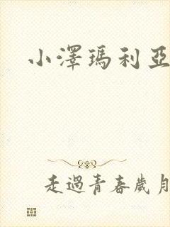 小泽玛利亚作品