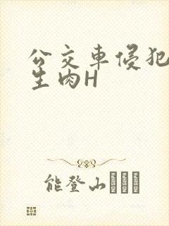 公交车侵犯小男生肉H