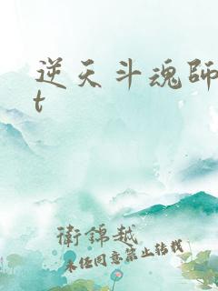 逆天斗魂师txt