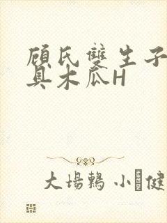 顾氏双生子的玩具木瓜H