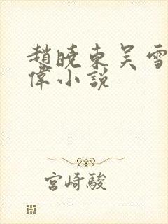 赵晓东吴雪晴郑伟小说