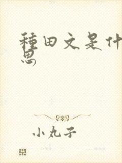 种田文是什么意思