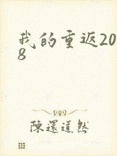 我的重返2008