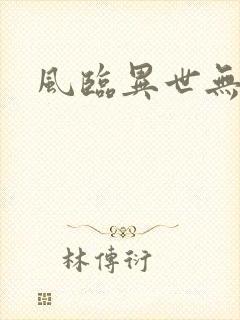 风临异世无弹窗