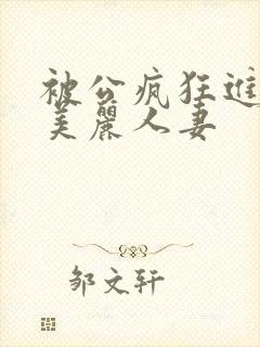 被公疯狂进入的美丽人妻