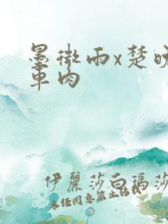 墨微雨x楚晚宁车肉