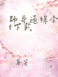 帅哥通缉令txt下载