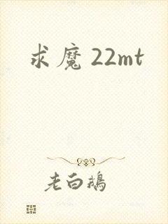 求魔 22mt