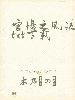 官场之风流人生txt下载