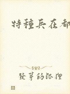 特种兵在都市
